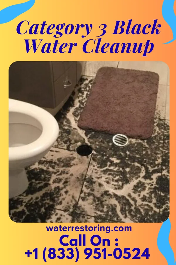Category 3 Black Water Cleanup in Wyandotte, OK