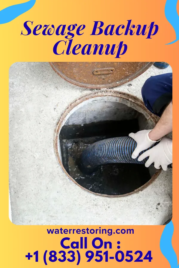 Sewage Backup Cleanup in Wyandotte, OK