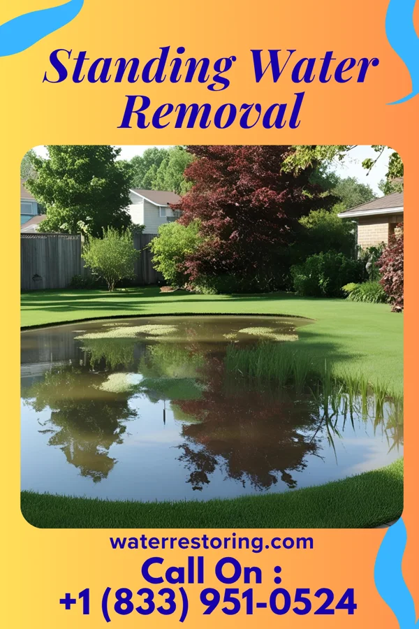 Standing Water Removal in Wyandotte, OK